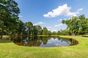 325 Young Rd, Hallsville, TX 75650 - Photo 39