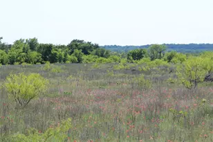 2077 A Shawver Rd, Perrin, TX 76486 - Photo 27