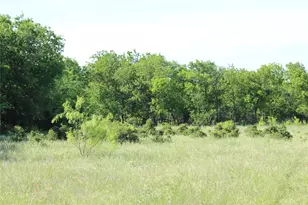 2077 A Shawver Rd, Perrin, TX 76486 - Photo 35