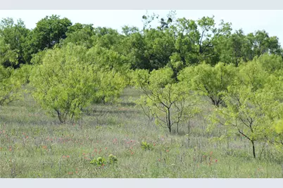 2077 A Shawver Road, Perrin, TX 76486 - Photo 27