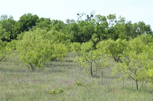 2077 A Shawver Rd, Perrin, TX 76486 - Photo 27