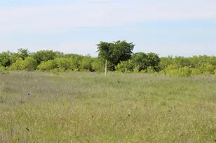 2077 A Shawver Rd, Perrin, TX 76486 - Photo 29