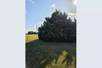 0000 Fm 36, Farmersville, TX 75442 - Photo 9