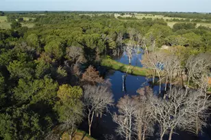 118 Dickey Rd, Sadler, TX 76264 - Photo 1