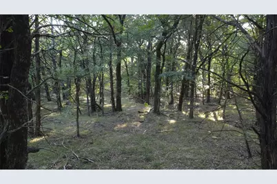 118 Dickey Road, Sadler, TX 76264 - Photo 25