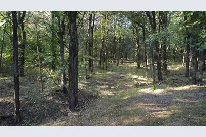 118 Dickey Road, Sadler, TX 76264 - Photo 27