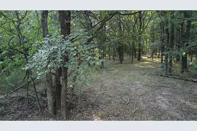 118 Dickey Road, Sadler, TX 76264 - Photo 25