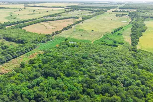 Tbd Fm 118, Greenville, TX 75401 - Photo 1