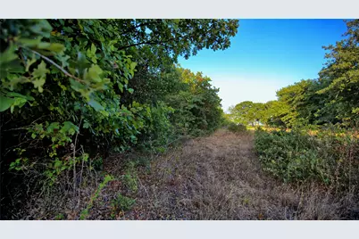 0 Ten Point Road, Nocona, TX 76255 - Photo 11