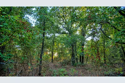 0 Ten Point Road, Nocona, TX 76255 - Photo 3