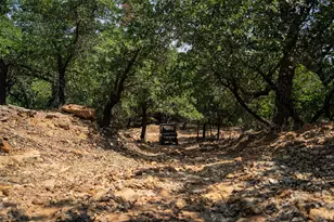 400 Pumphrey Rd, Loving, TX 76460 - Photo 35