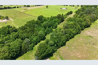 368 County Road 4960, Quitman, TX 75783 - Photo 7