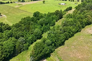 368 Co Rd 4960, Quitman, TX 75783 - Photo 7