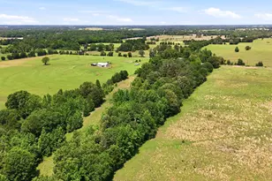 368 Co Rd 4960, Quitman, TX 75783 - Photo 21