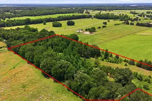 368 Co Rd 4960, Quitman, TX 75783 - Photo 5