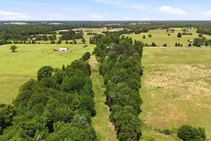 368 Co Rd 4960, Quitman, TX 75783 - Photo 21