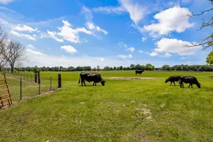290 A Vz County Road 3222, Wills Point, TX 75169 - Photo 27