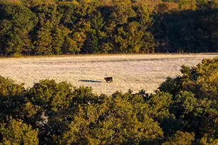1210A County Road 232, Collinsville, TX 76233 - Photo 27