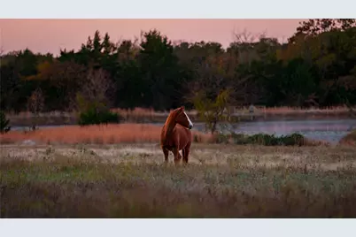 1210A County Road 232, Collinsville, TX 76233 - Photo 31