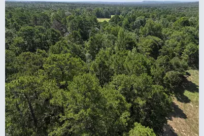 0 State Highway 154 W, Big Sandy, TX 75755 - Photo 7