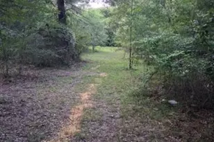 2965 Co Rd 1439, Sulphur Springs, TX 75482 - Photo 15