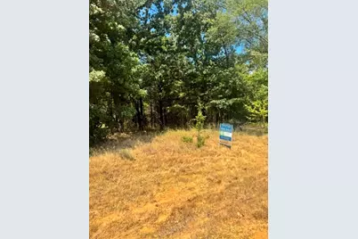 Tbd Pine Hills Lane, Gordonville, TX 76245 - Photo 3
