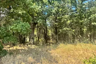 Tbd Pine Hills Ln, Gordonville, TX 76245 - Photo 1