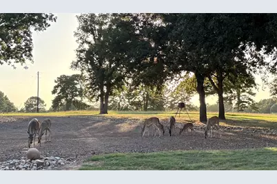 145 Private Road 7004, Frankston, TX 75763 - Photo 3