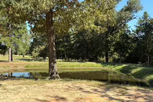 145 Private Rd 7004, Frankston, TX 75763 - Photo 1