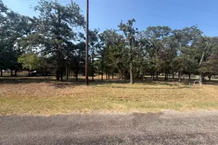 124 Brady Coleman Ln, Springtown, TX 76082 - Photo 35