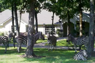 9007 Zebra Crossing, LaRue, TX 75770 - Photo 39