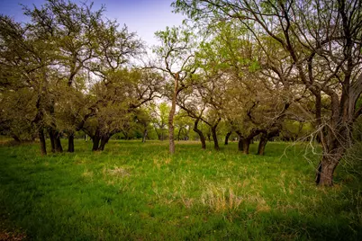 Lot 18 Firewheel, Graford, TX 76449 - Photo 7