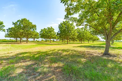 11217 Foutch Road, Pilot Point, TX 76258 - Photo 31