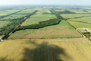 Tbd Cr 1140, Lake Creek, TX 75432 - Photo 1