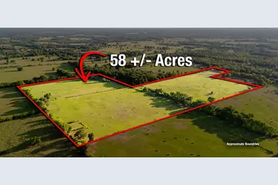 Tbd County Road 4990, Winnsboro, TX 75494 - Photo 1