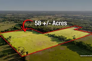 Tbd County Road 4990, Winnsboro, TX 75494 - Photo 1