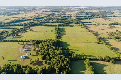 Tbd County Road 4990, Winnsboro, TX 75494 - Photo 7