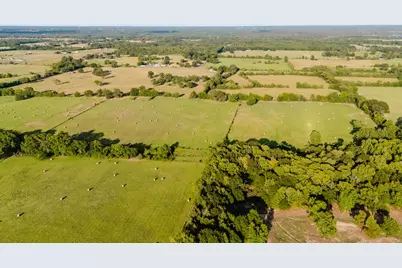 Tbd County Road 4990, Winnsboro, TX 75494 - Photo 5