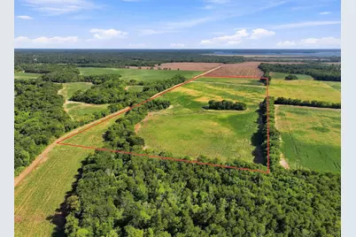 01 County Road 36980, Arthur City, TX 75411 - Photo 11