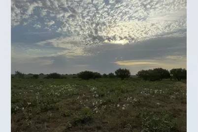 313 Private Road 4512, Decatur, TX 76234 - Photo 7