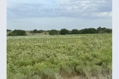 340 Private Road 4512, Decatur, TX 76234 - Photo 7