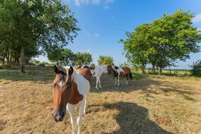5634 County Road 1094, Celeste, TX 75423 - Photo 21