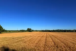 7710 US Hwy 84, Lawn, TX 79530 - Photo 23