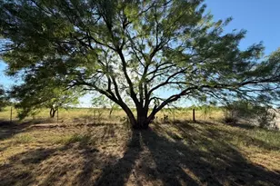 7710 US Hwy 84, Lawn, TX 79530 - Photo 15
