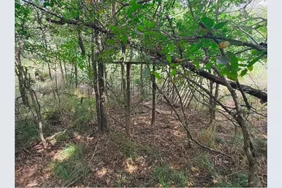 6343 County Road 4727, Wolfe City, TX 75496 - Photo 3