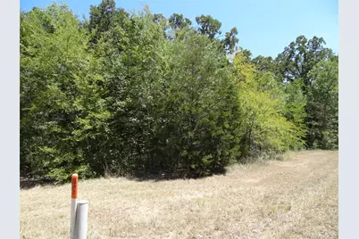 Lot 113 Westwood Drive, Trinidad, TX 75163 - Photo 5