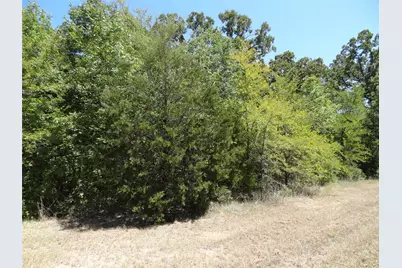 Lot 113 Westwood Drive, Trinidad, TX 75163 - Photo 3