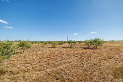 3126 S Fm 707, Tye, TX 79563 - Photo 37