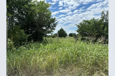 2641 Lemonade Lane, Farmersville, TX 75442 - Photo 3