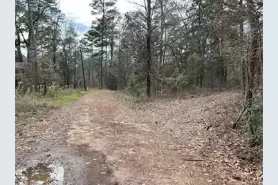 250 Private Road 8579, Winnsboro, TX 75494 - Photo 31